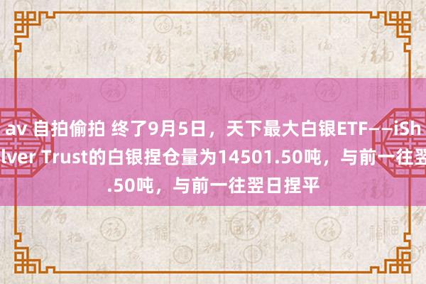 av 自拍偷拍 终了9月5日，天下最大白银ETF——iShares Silver Trust的白银捏仓量为14501.50吨，与前一往翌日捏平