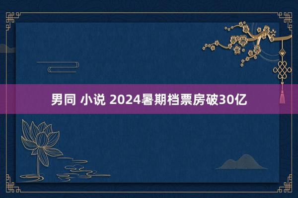 男同 小说 2024暑期档票房破30亿