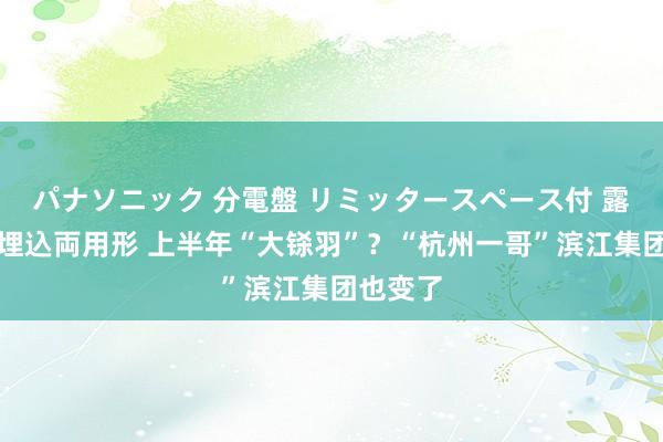 パナソニック 分電盤 リミッタースペース付 露出・半埋込両用形 上半年“大铩羽”？“杭州一哥”滨江集团也变了