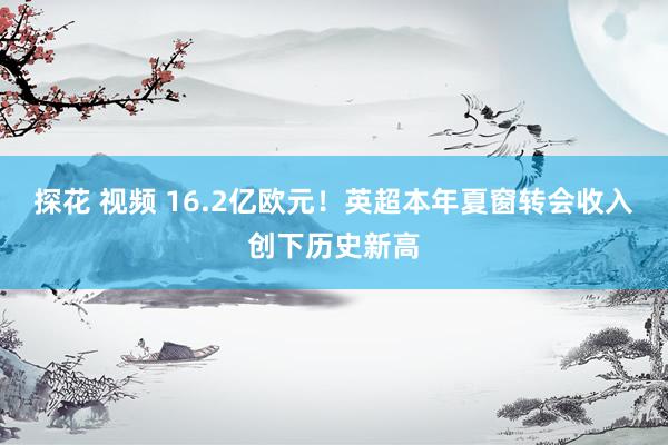 探花 视频 16.2亿欧元！英超本年夏窗转会收入创下历史新高