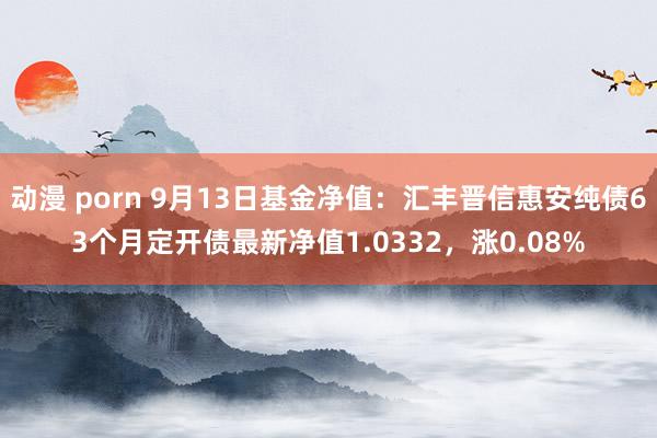 动漫 porn 9月13日基金净值：汇丰晋信惠安纯债63个月定开债最新净值1.0332，涨0.08%