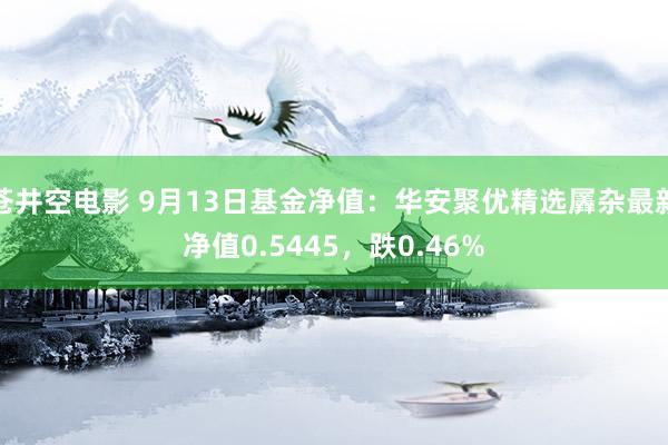 苍井空电影 9月13日基金净值：华安聚优精选羼杂最新净值0.5445，跌0.46%