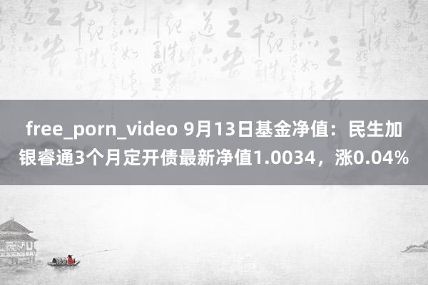 free_porn_video 9月13日基金净值：民生加银睿通3个月定开债最新净值1.0034，涨0.04%