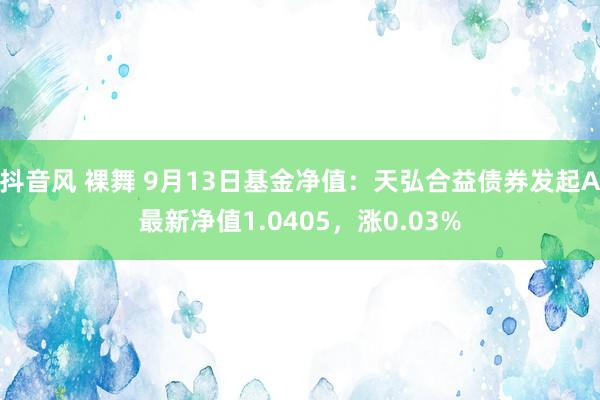 抖音风 裸舞 9月13日基金净值：天弘合益债券发起A最新净值1.0405，涨0.03%