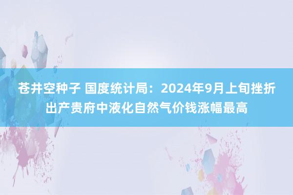 苍井空种子 国度统计局：2024年9月上旬挫折出产贵府中液化自然气价钱涨幅最高