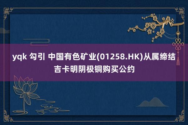 yqk 勾引 中国有色矿业(01258.HK)从属缔结吉卡明阴极铜购买公约