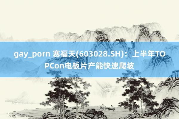 gay_porn 赛福天(603028.SH)：上半年TOPCon电板片产能快速爬坡