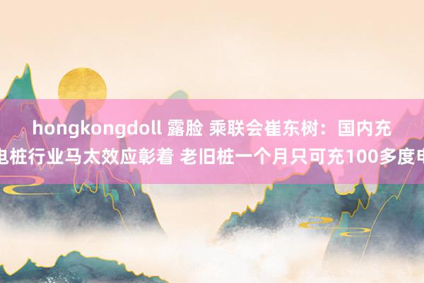 hongkongdoll 露脸 乘联会崔东树：国内充电桩行业马太效应彰着 老旧桩一个月只可充100多度电