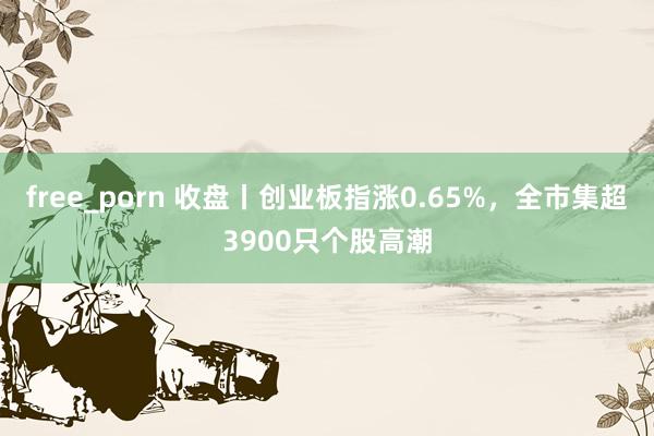 free_porn 收盘丨创业板指涨0.65%，全市集超3900只个股高潮