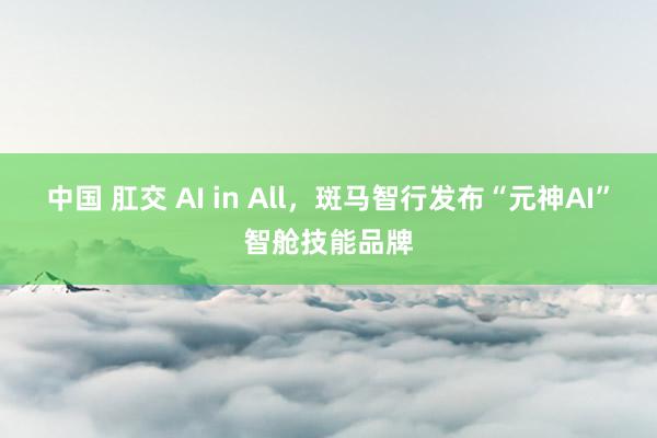 中国 肛交 AI in All，斑马智行发布“元神AI”智舱技能品牌