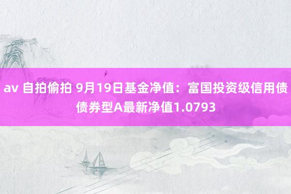 av 自拍偷拍 9月19日基金净值：富国投资级信用债债券型A最新净值1.0793