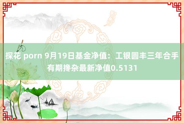 探花 porn 9月19日基金净值：工银圆丰三年合手有期搀杂最新净值0.5131