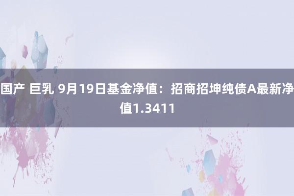 国产 巨乳 9月19日基金净值：招商招坤纯债A最新净值1.3411