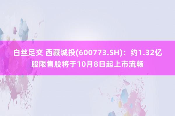 白丝足交 西藏城投(600773.SH)：约1.32亿股限售股将于10月8日起上市流畅