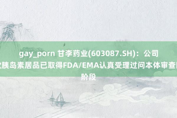 gay_porn 甘李药业(603087.SH)：公司三款胰岛素居品已取得FDA/EMA认真受理过问本体审查阶段