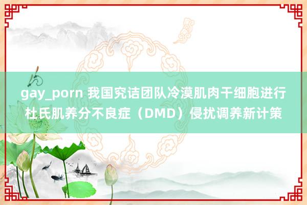 gay_porn 我国究诘团队冷漠肌肉干细胞进行杜氏肌养分不良症（DMD）侵扰调养新计策