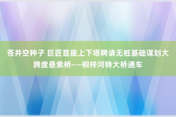 苍井空种子 巨匠首座上下塔聘请无桩基础谋划大跨度悬索桥——桐梓河特大桥通车