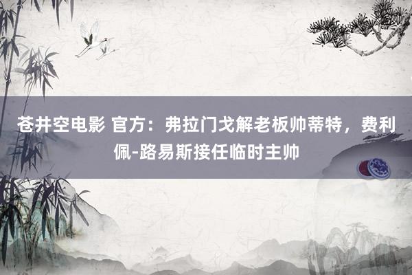 苍井空电影 官方：弗拉门戈解老板帅蒂特，费利佩-路易斯接任临时主帅