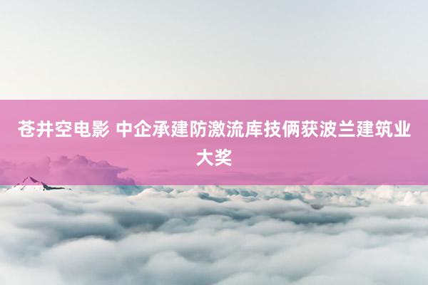 苍井空电影 中企承建防激流库技俩获波兰建筑业大奖