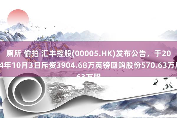 厕所 偷拍 汇丰控股(00005.HK)发布公告，于2024年10月3日斥资3904.68万英镑回购股份570.63万股