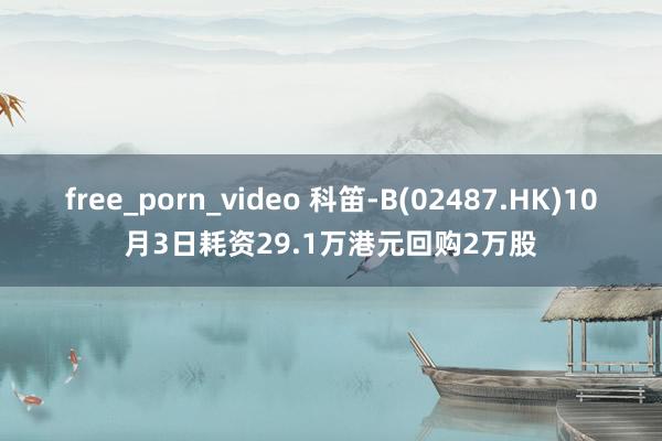 free_porn_video 科笛-B(02487.HK)10月3日耗资29.1万港元回购2万股