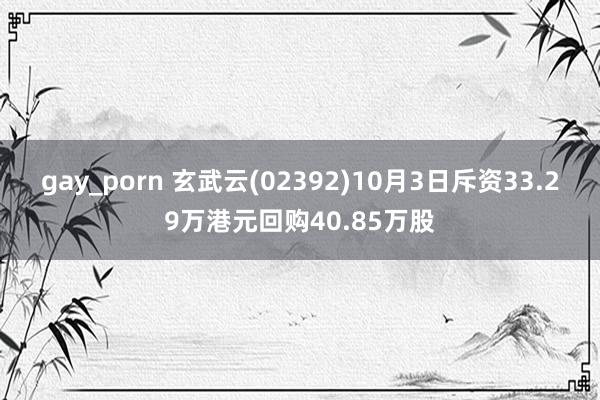 gay_porn 玄武云(02392)10月3日斥资33.29万港元回购40.85万股