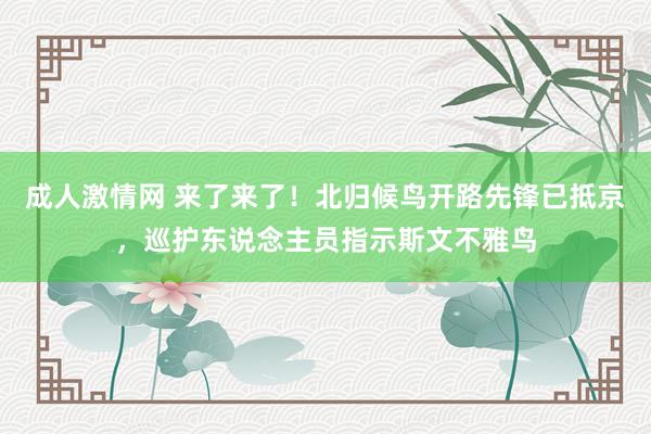 成人激情网 来了来了！北归候鸟开路先锋已抵京，巡护东说念主员指示斯文不雅鸟