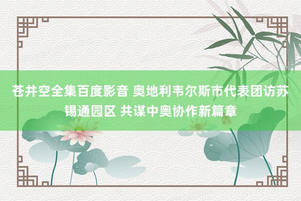 苍井空全集百度影音 奥地利韦尔斯市代表团访苏锡通园区 共谋中奥协作新篇章