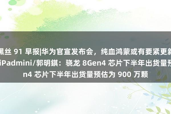 黑丝 91 早报|华为官宣发布会，纯血鸿蒙或有要紧更新/苹果推出新款 iPadmini/郭明錤：骁龙 8Gen4 芯片下半年出货量预估为 900 万颗