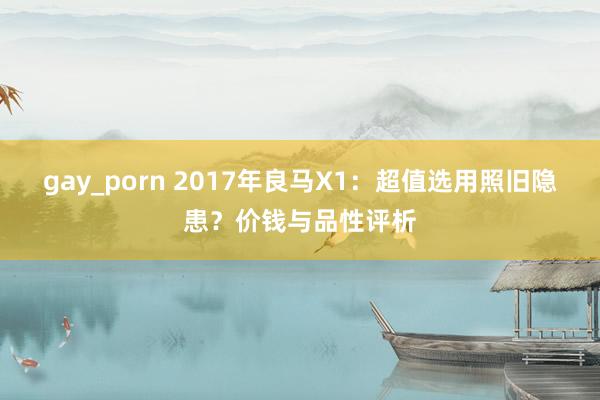 gay_porn 2017年良马X1：超值选用照旧隐患？价钱与品性评析