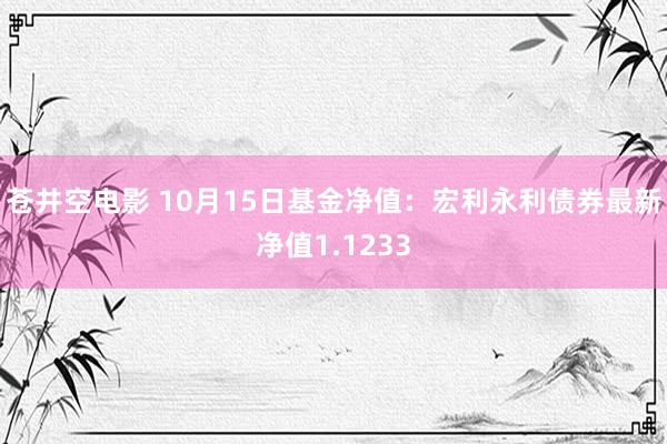 苍井空电影 10月15日基金净值：宏利永利债券最新净值1.1233