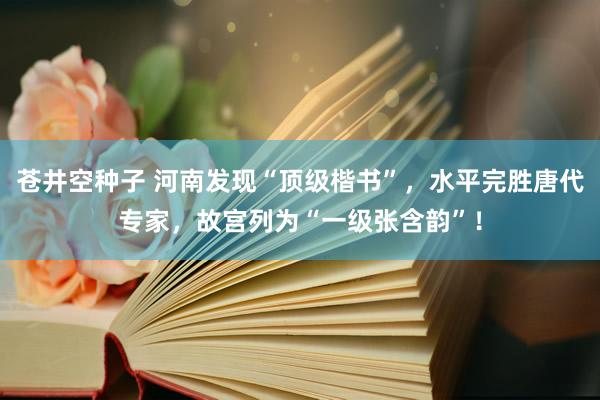 苍井空种子 河南发现“顶级楷书”，水平完胜唐代专家，故宫列为“一级张含韵”！