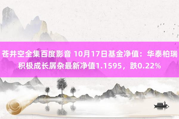 苍井空全集百度影音 10月17日基金净值：华泰柏瑞积极成长羼杂最新净值1.1595，跌0.22%