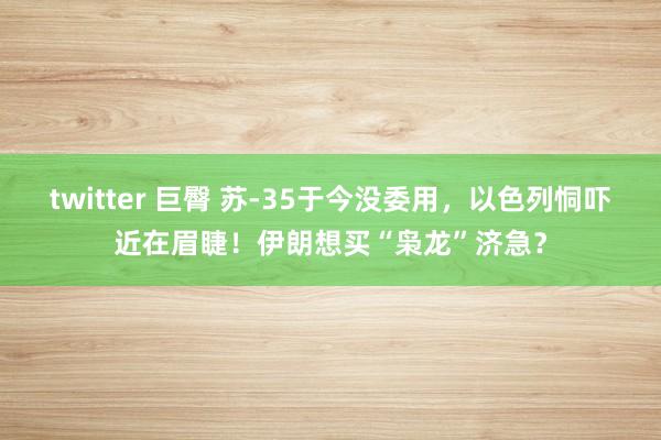 twitter 巨臀 苏-35于今没委用，以色列恫吓近在眉睫！伊朗想买“枭龙”济急？