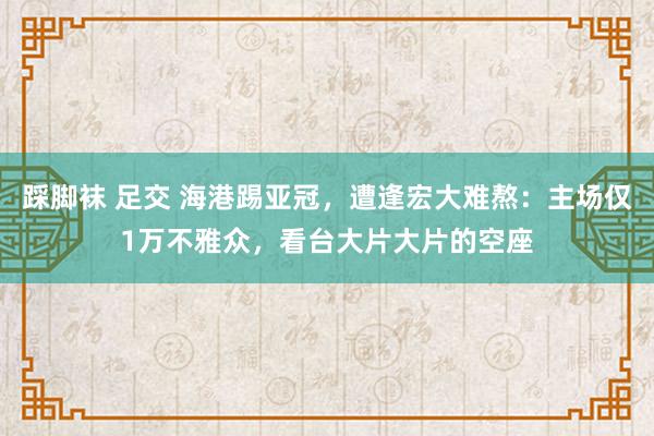 踩脚袜 足交 海港踢亚冠，遭逢宏大难熬：主场仅1万不雅众，看台大片大片的空座