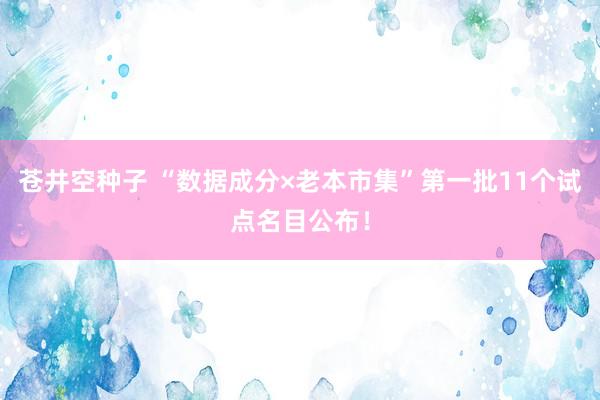 苍井空种子 “数据成分×老本市集”第一批11个试点名目公布！