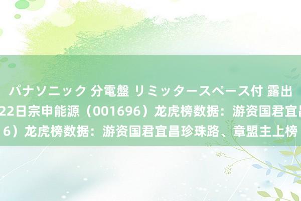 パナソニック 分電盤 リミッタースペース付 露出・半埋込両用形 10月22日宗申能源（001696）龙虎榜数据：游资国君宜昌珍珠路、章盟主上榜