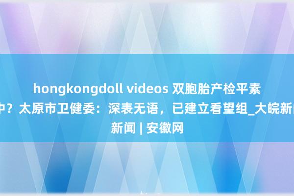 hongkongdoll videos 双胞胎产检平素却胎死腹中？太原市卫健委：深表无语，已建立看望组_大皖新闻 | 安徽网