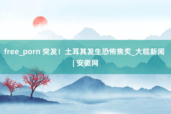 free_porn 突发！土耳其发生恐怖焦炙_大皖新闻 | 安徽网