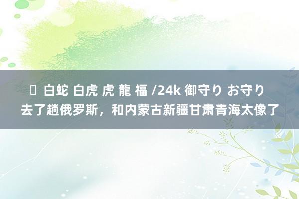 ✨白蛇 白虎 虎 龍 福 /24k 御守り お守り 去了趟俄罗斯，和内蒙古新疆甘肃青海太像了