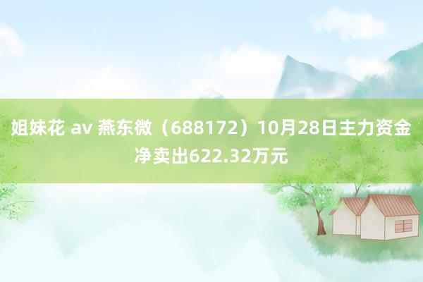 姐妹花 av 燕东微（688172）10月28日主力资金净卖出622.32万元