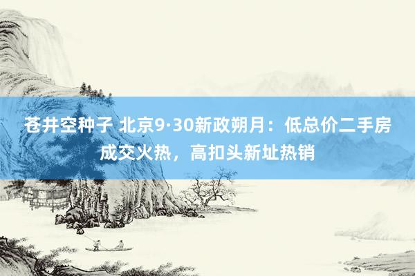 苍井空种子 北京9·30新政朔月：低总价二手房成交火热，高扣头新址热销