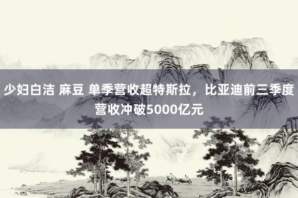 少妇白洁 麻豆 单季营收超特斯拉，比亚迪前三季度营收冲破5000亿元