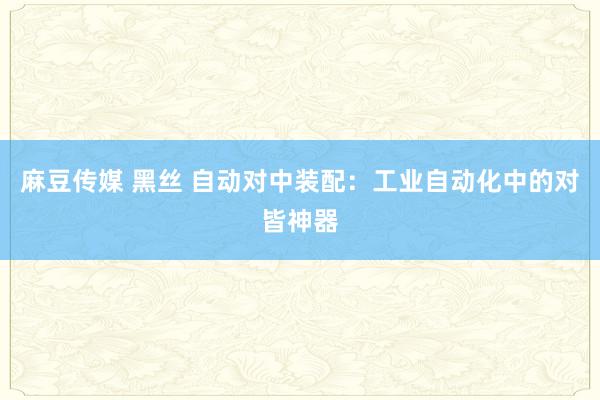 麻豆传媒 黑丝 自动对中装配：工业自动化中的对皆神器