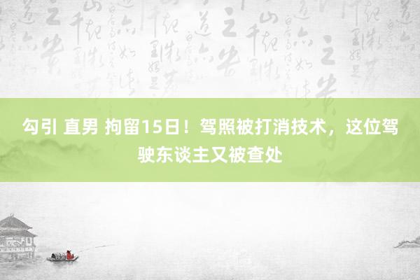 勾引 直男 拘留15日！驾照被打消技术，这位驾驶东谈主又被查处