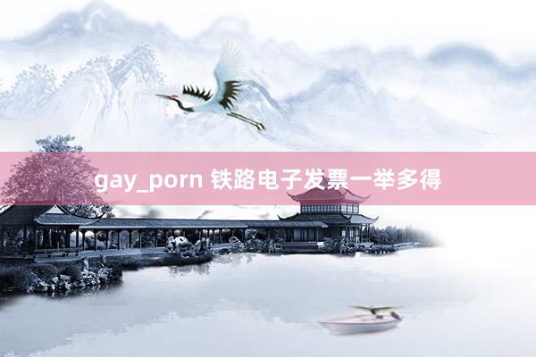 gay_porn 铁路电子发票一举多得