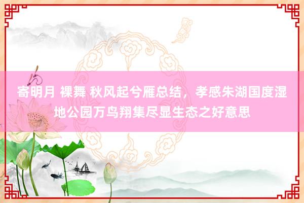 寄明月 裸舞 秋风起兮雁总结，孝感朱湖国度湿地公园万鸟翔集尽显生态之好意思