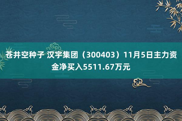 苍井空种子 汉宇集团（300403）11月5日主力资金净买入5511.67万元