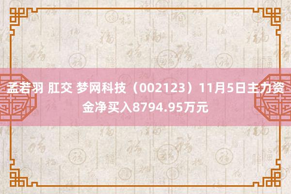 孟若羽 肛交 梦网科技（002123）11月5日主力资金净买入8794.95万元