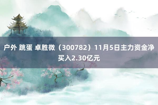 户外 跳蛋 卓胜微（300782）11月5日主力资金净买入2.30亿元